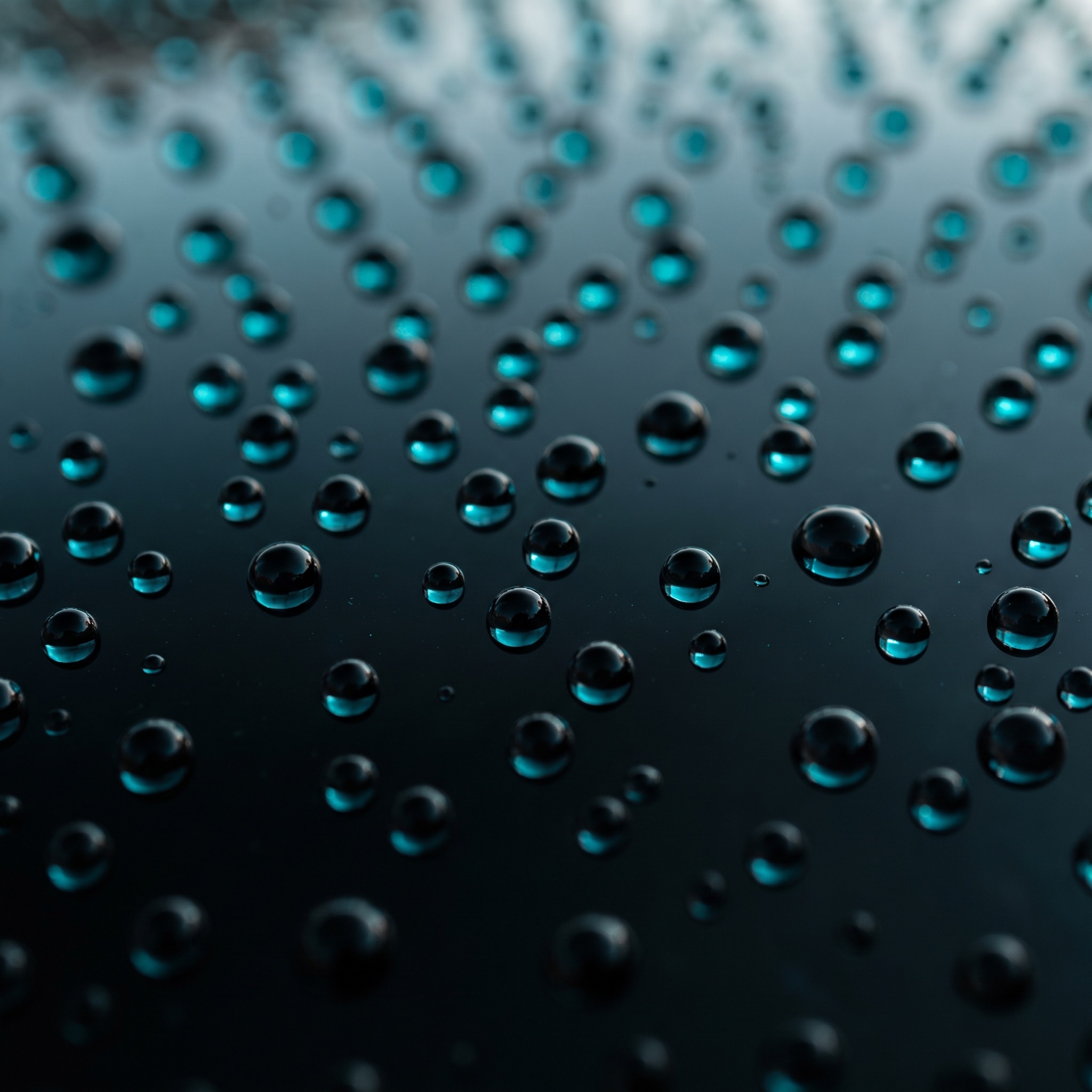 Tight water beads standing on a freshly ceramic-coated black hood